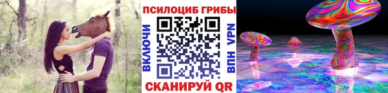 Псилоцибиновые грибы Psilocybine cubensis гидра tor Черноголовка